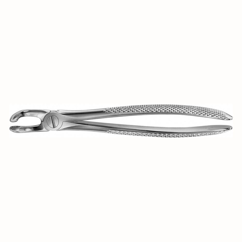 Tandtang Anatomica Büchs Figur 79A UK Visdomstand, stk.