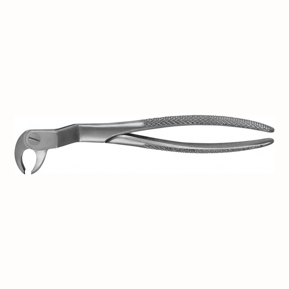 Tandtang Anatomica Routurier højre, stk.