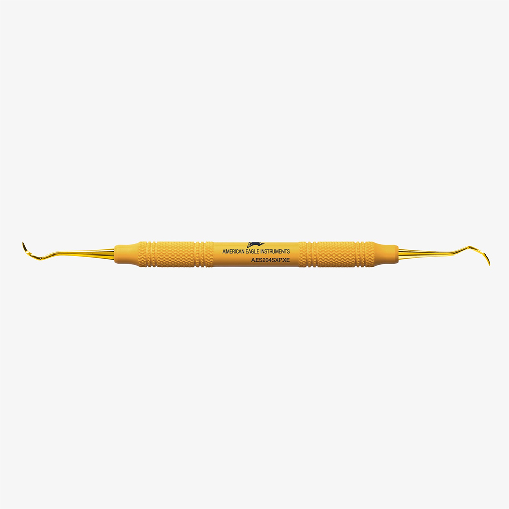 Scaler 204S XPXE AE St