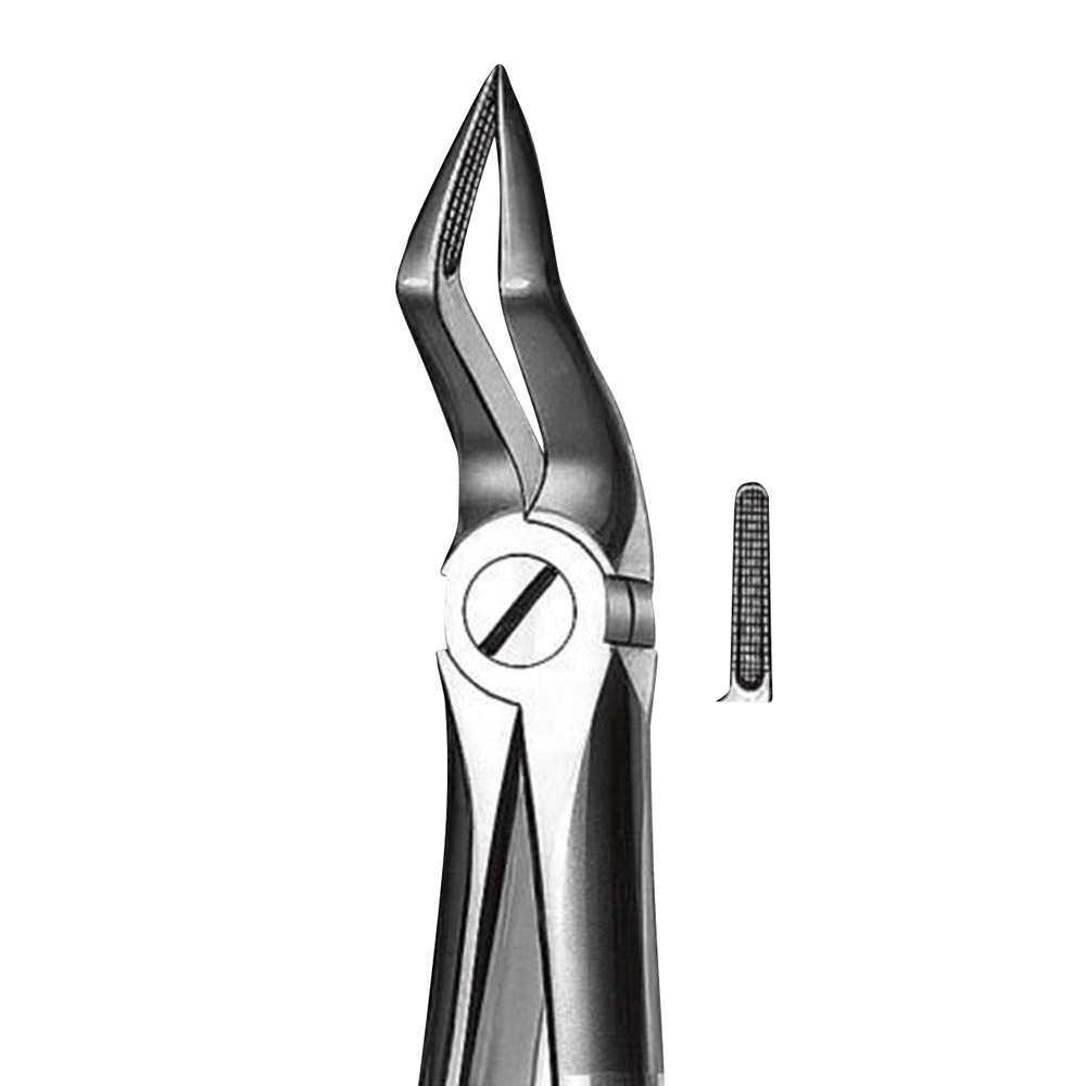 Tandtang Büchs figur M2051A lille model OK rod, stk.