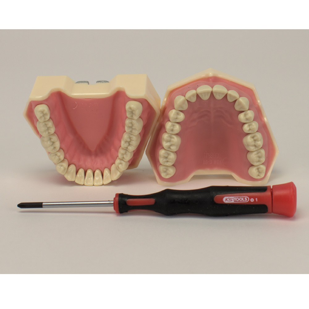 Frasaco Modell AG-3 OK+UK, stk.