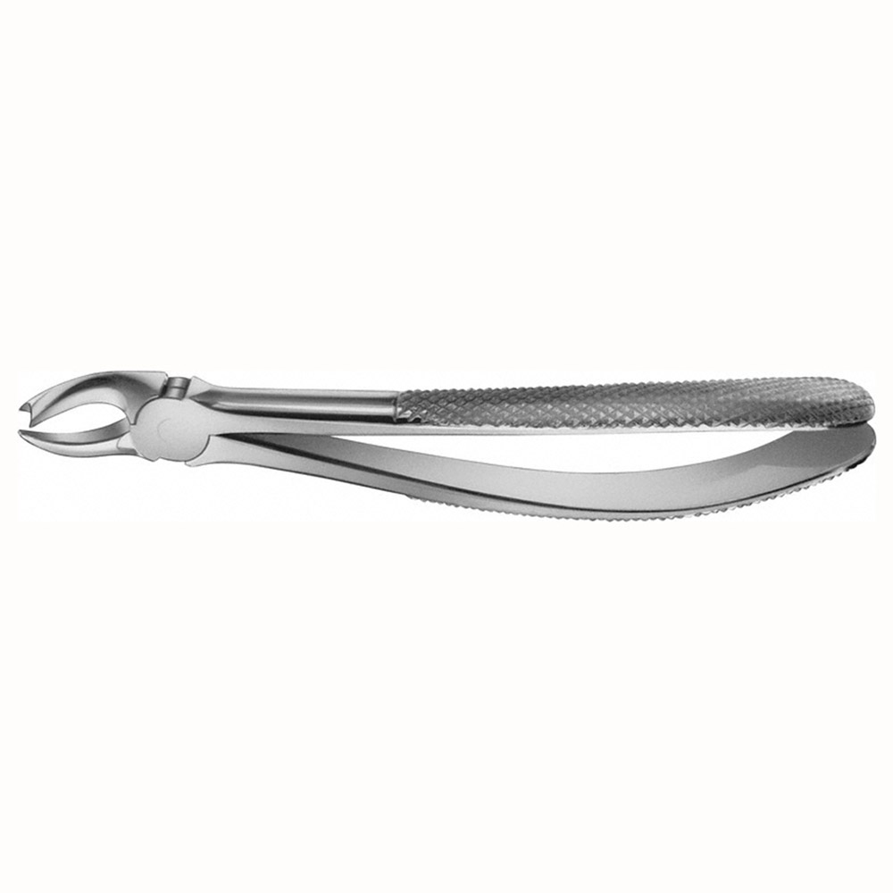 Tandtang Anatomica Figur 89 Overkæbe molar højre, stk.
