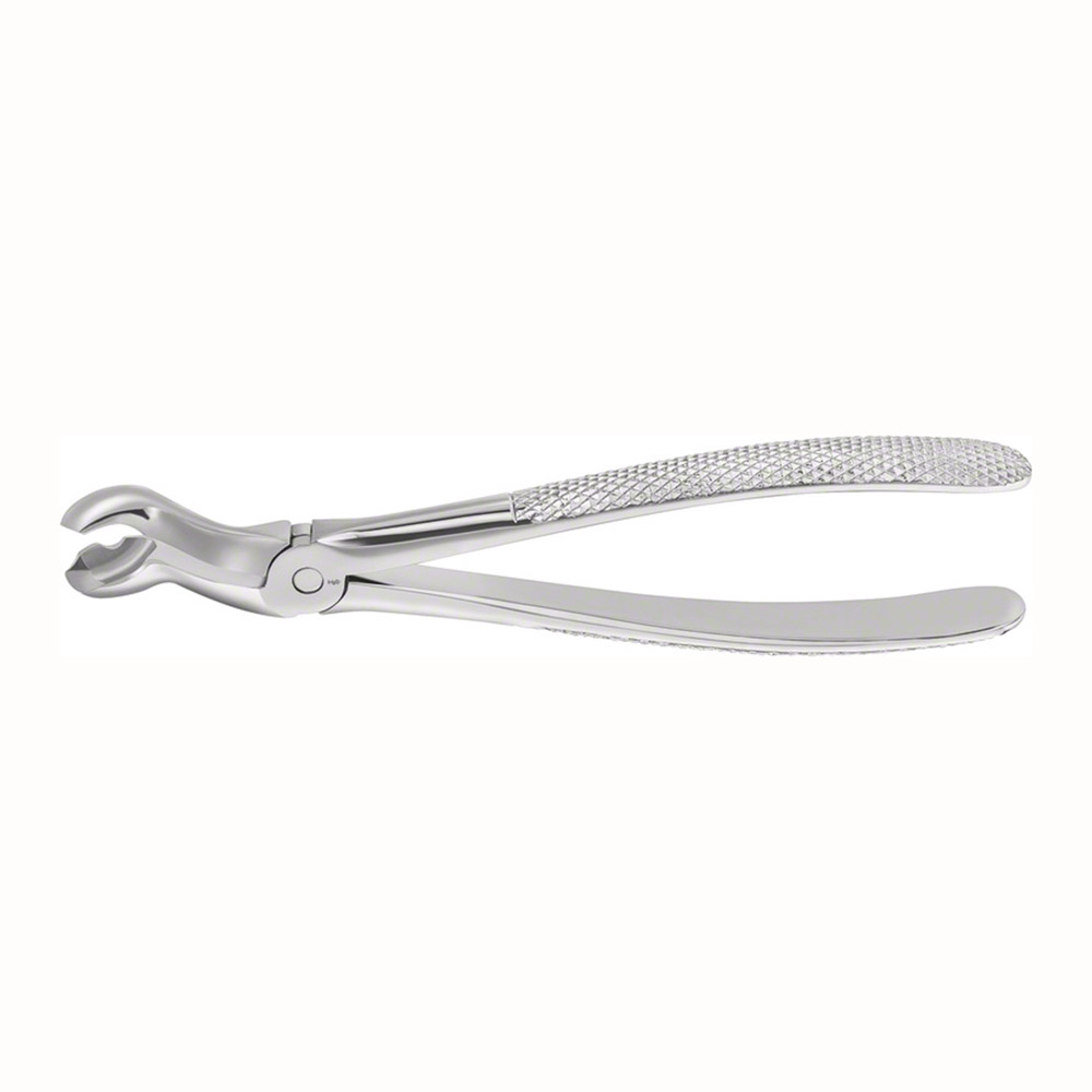 Tandtang Anatomica Felsch Figur 121 UK Visdomstand, stk.