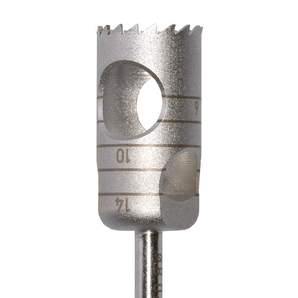 Trepanbor WstL T229 L 040, stk.