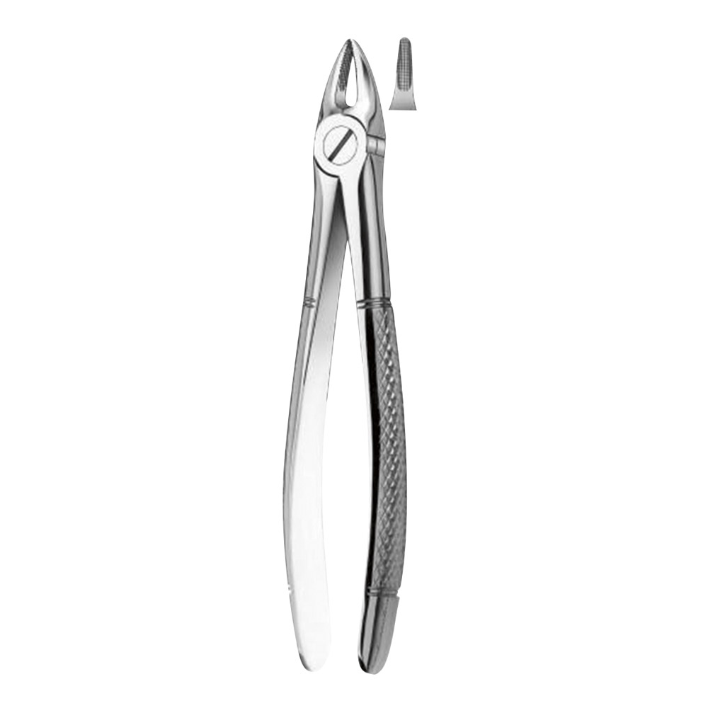 Tandtang Figur 29K OK Fronttand + Rod Barn, stk.