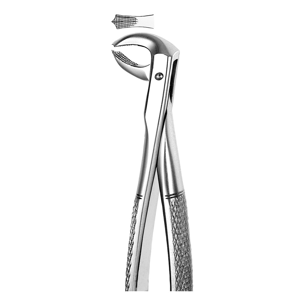 Tandtang figur M73 lille model UK molar, stk.