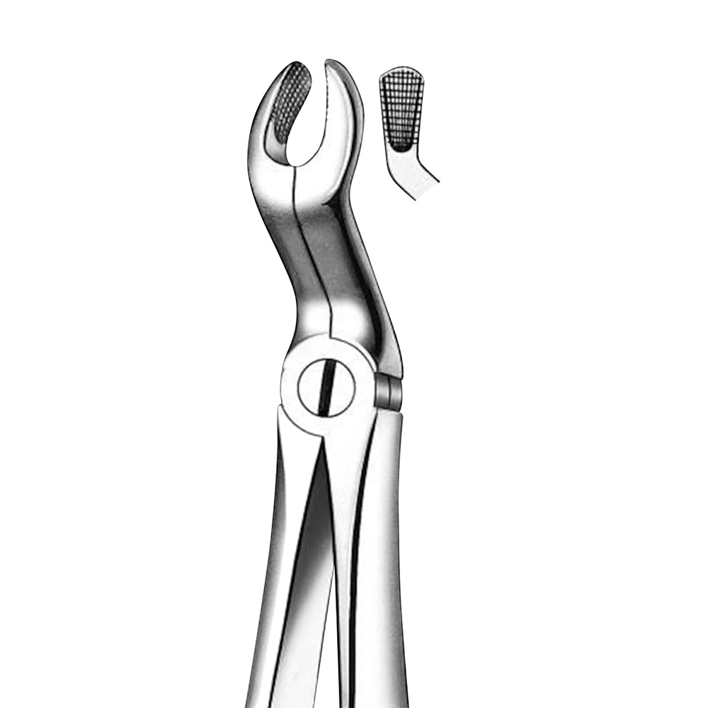 Tandtang Büchs figur M2067A lille model OK + UK visdomstand, stk.