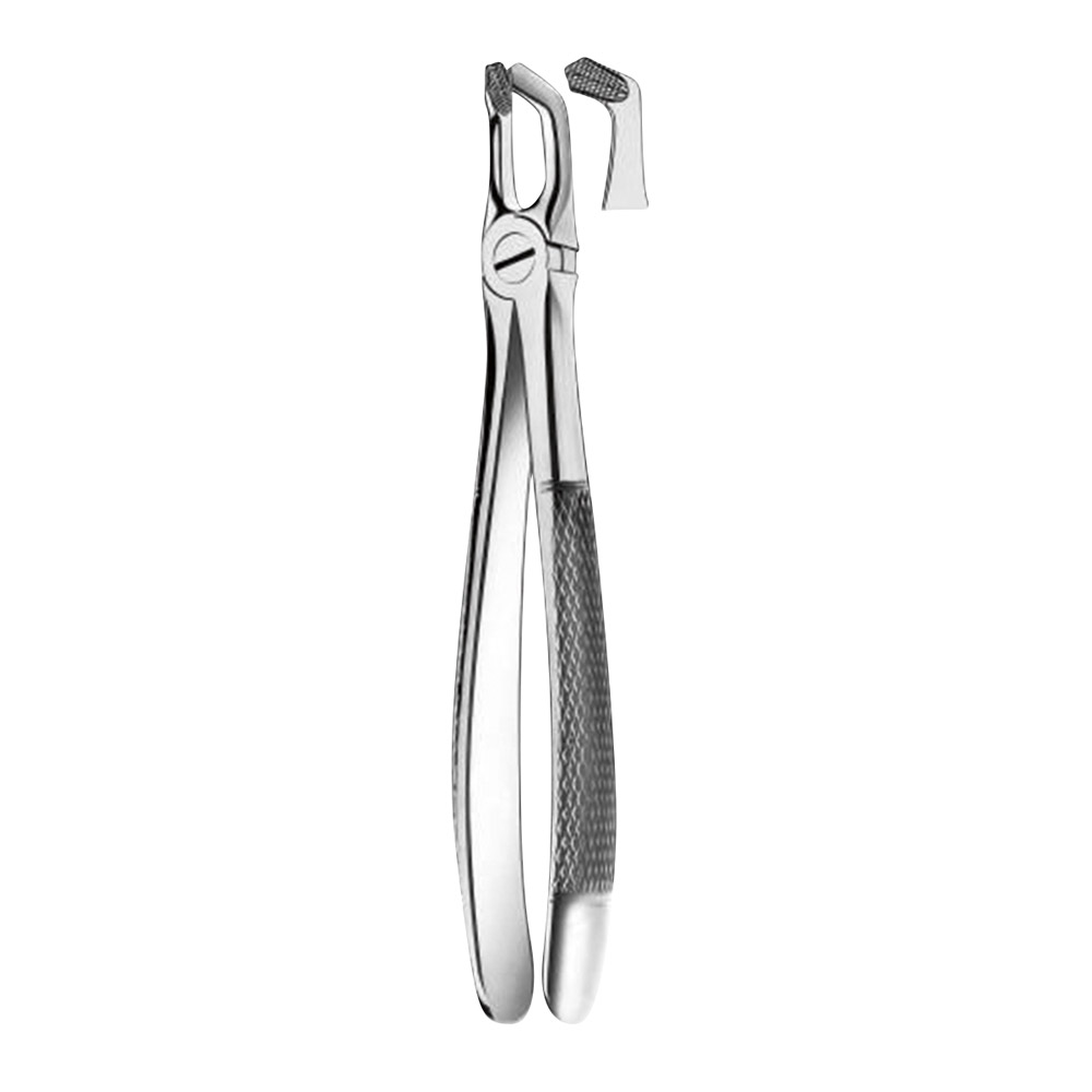 Tandtang Büchs Figur M2079 lille model OK + UK visdomstand, stk.