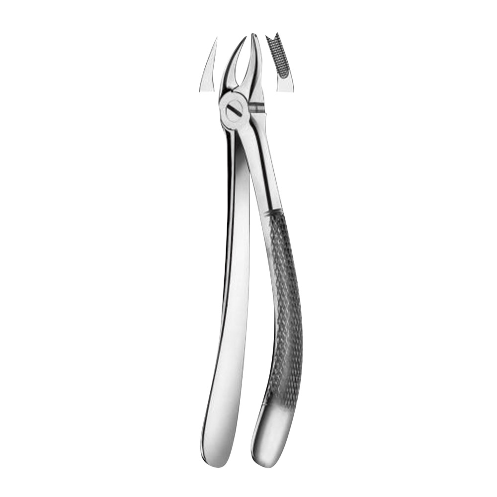 Tandtang figur 90 OK molar venstre, stk.