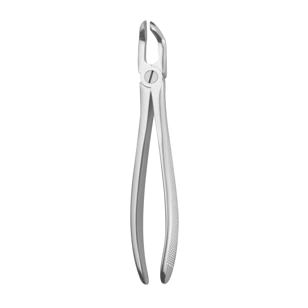 Tandtang figur E79A UK visdomstand, stk.