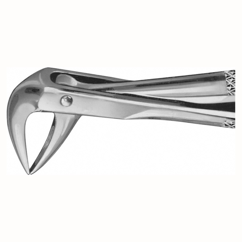 Tandtang Anatomica Figur 74 UK Rod, stk.