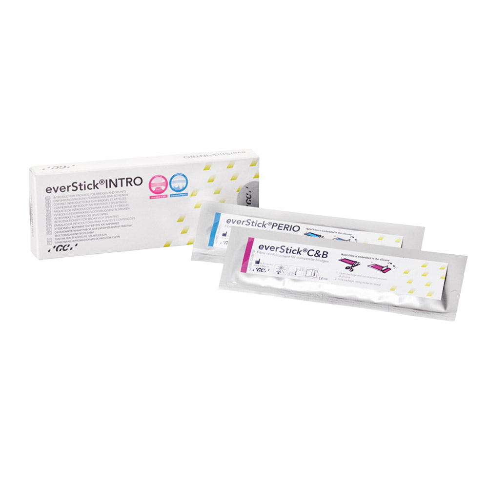 everStick, Introduktion