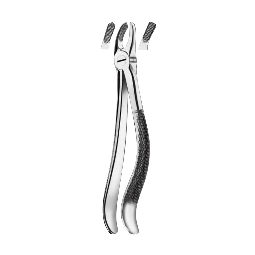 Tandtang figur 95 OK molar venstre, stk.