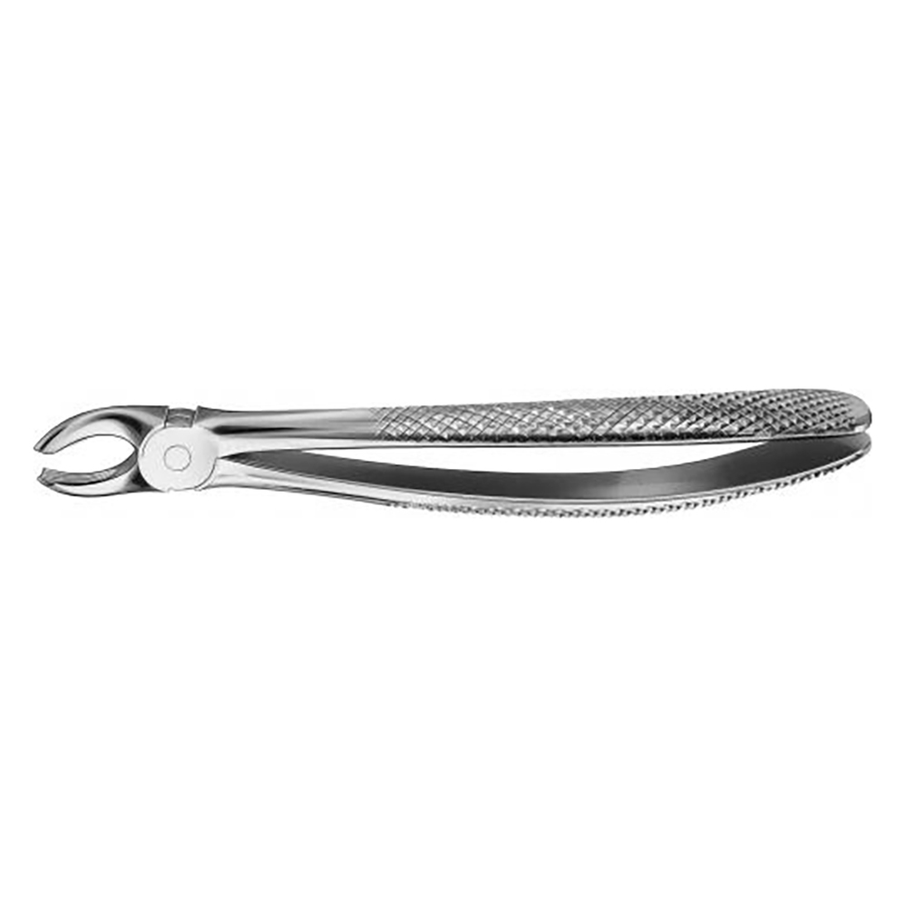 Tandtang Anatomica Figur 17 Overkæbe Molar højre, stk.